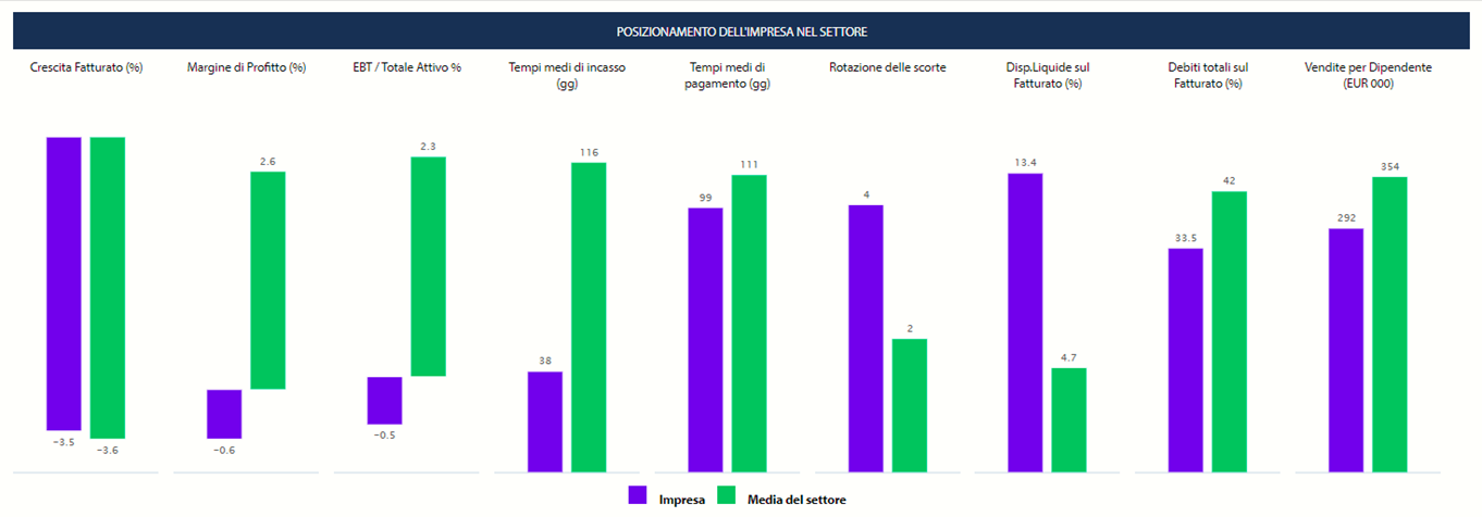 Posizionamento impresa nel settore